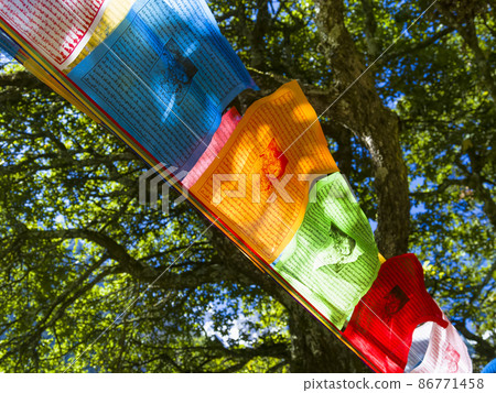 Tibetan Buddhist prayer flag Tibetan Buddhist prayer flag 86771458