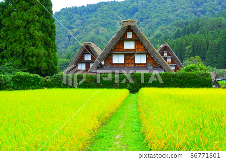 World heritage, gassho style and countryside World heritage, gassho style and countryside 86771801