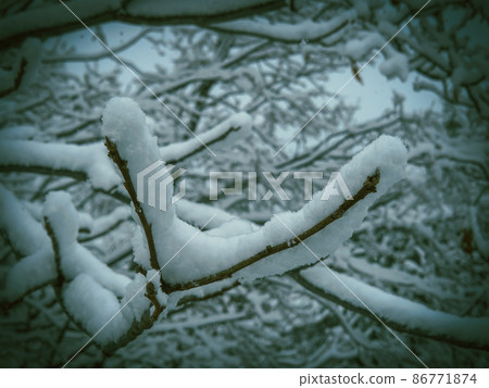 Branch with silver flowers 86771874