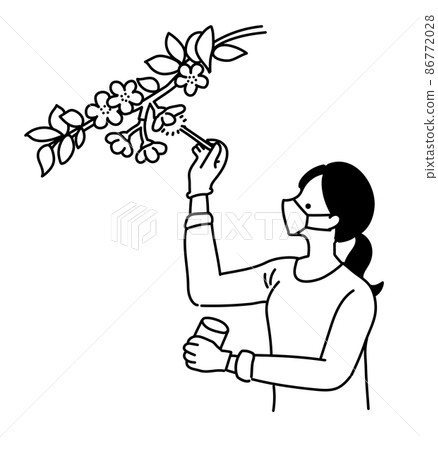 農業女孩 農業工作 授粉工作 插圖 單色 黑白 86772028