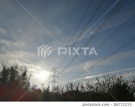 Ryuun, Haro and Sun Dog 86772253