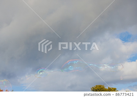 Soap bubble 2022 86773421