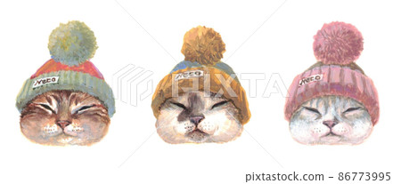 三隻戴著針織帽的貓的正面 86773995