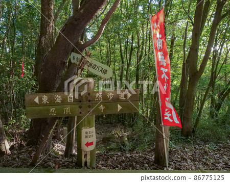 大阪府龍山東海自然步道 大阪府龍山東海自然步道 86775125