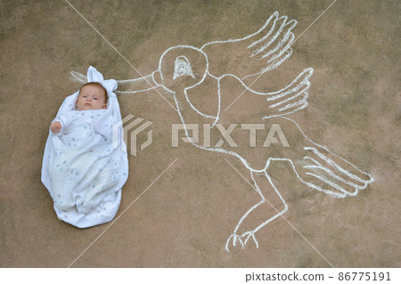 Stork holding a newborn baby in a white blanket Stork holding a newborn baby in a white blanket 86775191
