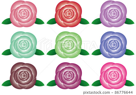 Rose flower Rose flower 86776644
