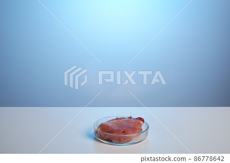 Artificial Meat in Petri Dish on Blue Background with Copyspace Artificial Meat in Petri Dish on Blue Background with Copyspace 86778642