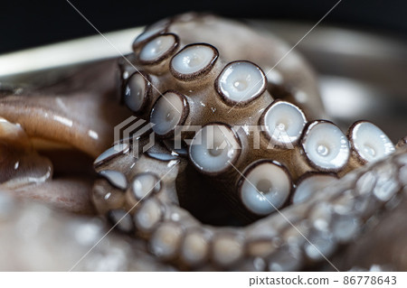 raw octopus, ready to cook a dish in an iron plate on a black background raw octopus, ready to cook a dish in an iron plate on a black background 86778643