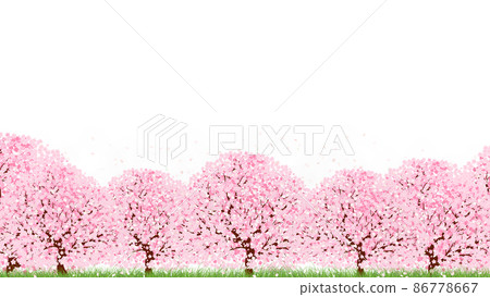 櫻花（背景材料） 86778667