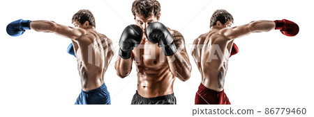 Creative collage of professional boxer who training isolated over white background. Sport concept  86779460