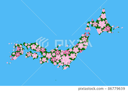 櫻花前面 86779639