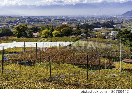 Vineyards around Katsunuma, Koshu City, Yamanashi Prefecture 86780442