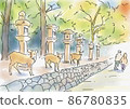 Deer in Nara Park 86780835