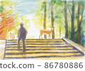 Deer in Nara Park 86780886