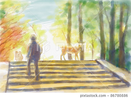 奈良公園的鹿 奈良公園的鹿 86780886