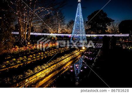 照明 照明 86781628