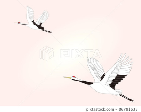 兩隻鶴展翅翱翔在天空 86781635