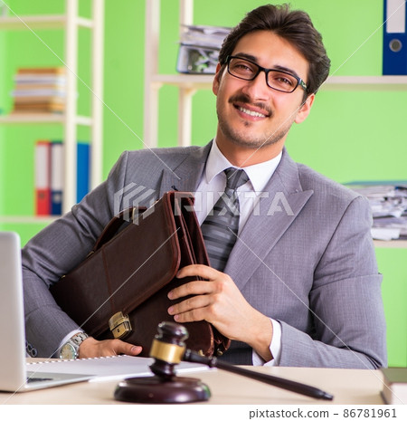 Young handsome lawyer working in the office Young handsome lawyer working in the office 86781961