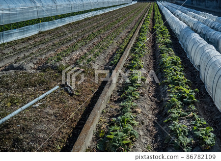 Ridge of greenhouse and field 86782109