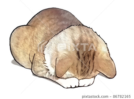 Apology cat 86782165
