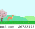 Deer in Nara Park 86782358