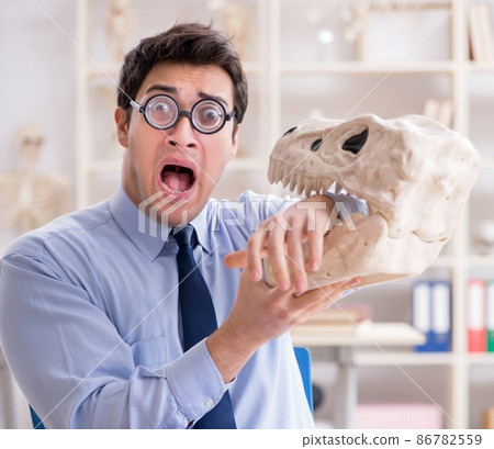 Funny crazy professor studying dinosaur skeleton 86782559