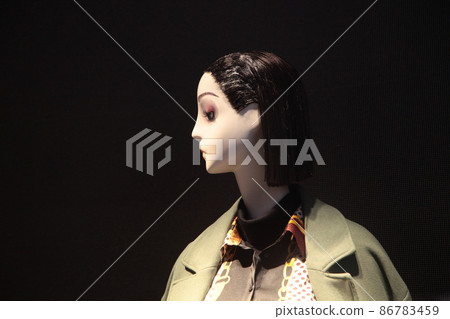時尚時尚精品櫥窗展示 時尚時尚精品櫥窗展示 86783459