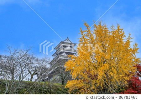Collaboration scene of castle and yellow leaves of ginkgo seen in the blue sky background @ Ehime Collaboration scene of castle and yellow leaves of ginkgo seen in the blue sky background @ Ehime 86783463