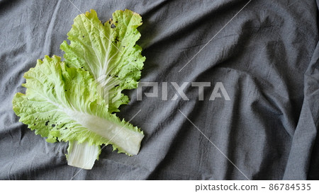 你會因為蔬菜吃蟲子而扔掉蔬菜嗎?洗乾淨,做飯,以消除食物損失。 你會因為蔬菜吃蟲子而扔掉蔬菜嗎?洗乾淨,做飯,以消除食物損失。 86784535