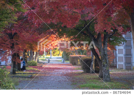 鮮紅的紅葉和輕井澤的長廊 86784694