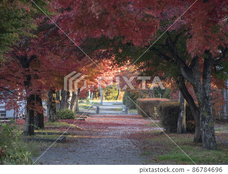 鮮紅的紅葉和輕井澤的長廊 86784696