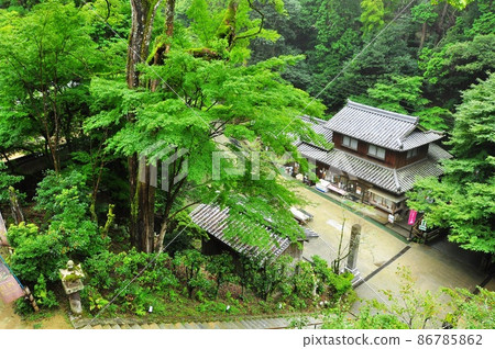 姬路市正社山圓行寺 Maunden-mae 接近 Hazuki 茶館和深綠色 姬路市正社山圓行寺 Maunden-mae 接近 Hazuki 茶館和深綠色 86785862