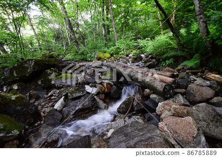 Ichinosawa mountain climbing entrance in the early morning Sawa and log bridge flowing along the mountain trail leading to Mt. Jonen 86785889