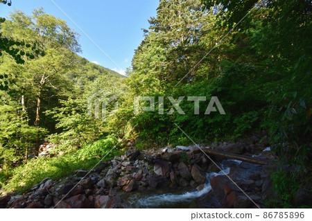 Early morning Ichinosawa mountain trail, Mt. Jonen trail, Sawa and log bridge 86785896