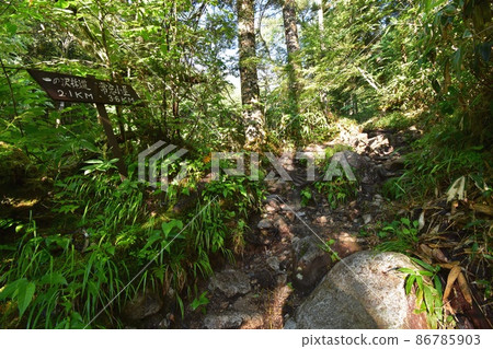 Signpost near the Otaki bench at the Ichinosawa trailhead in the early morning Signpost near the Otaki bench at the Ichinosawa trailhead in the early morning 86785903