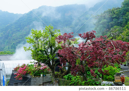柏市溫泉鹿兒島縣 86786511