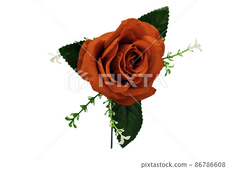 Red rose flower isolated on white background with clipping path. 86786608