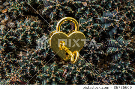 Close-up of Golden heart shaped love padlock and key over on small cactus pile background. 86786609