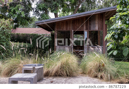 Nice small wooden hut. Green garden joy in summer with Stone benchs and perennial ryegrass plant. 86787229