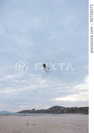 Scenic sea view. Beach activities, holidays, weekends on the seacoast, ocean view. Balloon in the form of a black octopus flies on the beach. Scenic sea view. Beach activities, holidays, weekends on the seacoast, ocean view. Balloon in the form of a black octopus flies on the beach. 86788073