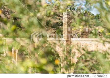 Ancient bridge in foliage on sunny day Ancient bridge in foliage on sunny day 86788684