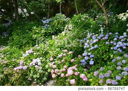 I went to Nihonmatsuji Temple # 51 I went to Nihonmatsuji Temple # 51 86788747