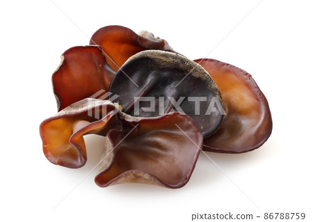 Kikurage 放置在白色背景上 86788759