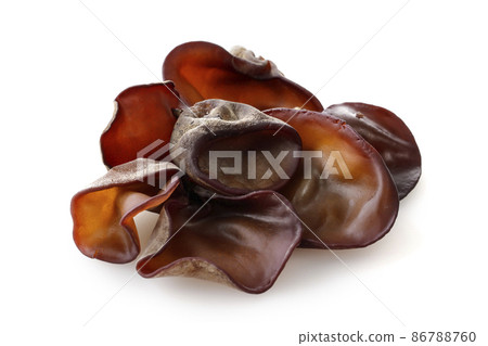 Kikurage 放置在白色背景上 Kikurage 放置在白色背景上 86788760