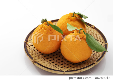 Dekopon 與過濾器白色背景上的葉子 86789018