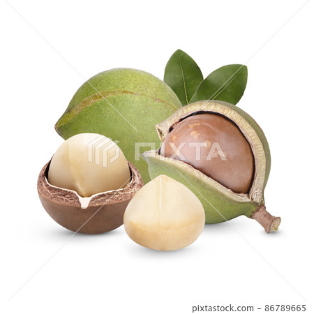 Macadamia nuts with leaves isolated on white background Macadamia nuts with leaves isolated on white background 86789665
