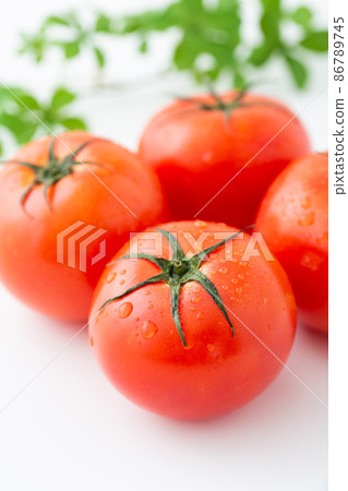 Tomato   86789745