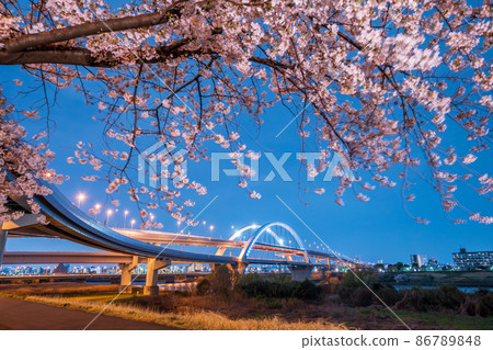 Night view "Tokyo" Goshikizakura Bridge and Kohoku JCT spring scenery Night view "Tokyo" Goshikizakura Bridge and Kohoku JCT spring scenery 86789848