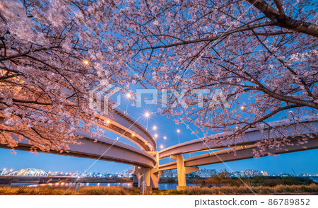 夜景“東京”五色櫻橋和港北JCT春景 夜景“東京”五色櫻橋和港北JCT春景 86789852
