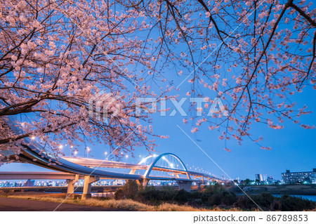 夜景“東京”五色櫻橋和港北JCT春景 夜景“東京”五色櫻橋和港北JCT春景 86789853